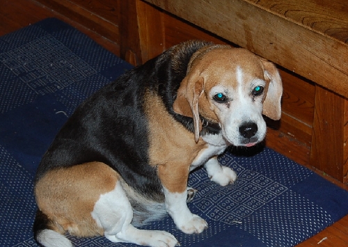DSC_0035.JPG