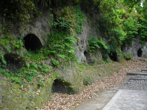 永山城切岸 (2) (500x375).jpg