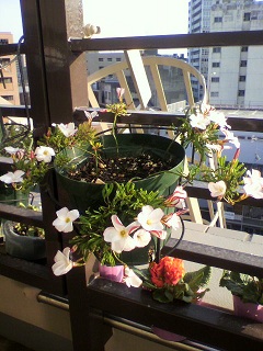2013012015580000.jpg