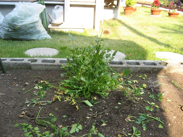 130505-43.JPG
