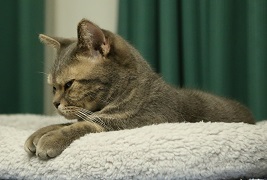 5DA_0175-19.jpg