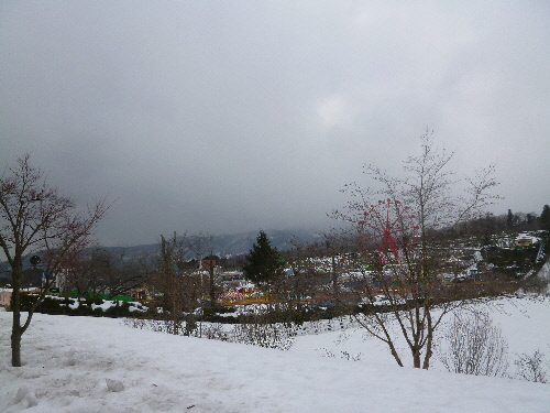 P1140675(1).JPG