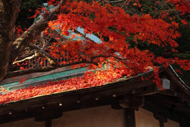 勝尾寺_5-2.jpg