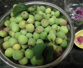 2013ume2.jpg