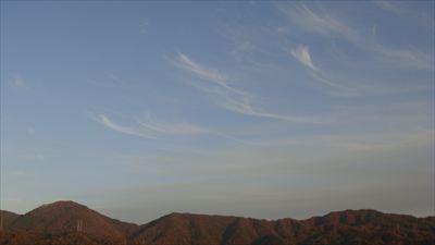 DSC03755_R.JPG