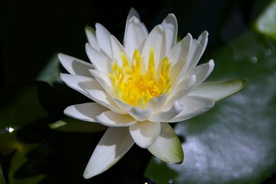 IMGP7590.JPG