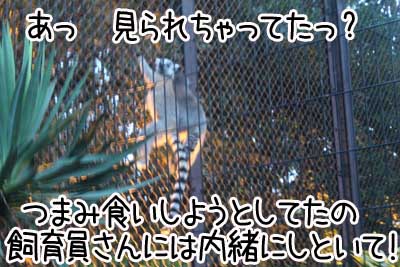 夜２０.JPG
