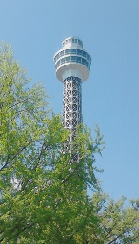 16043018.jpg