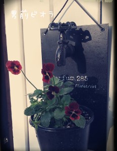 2013-10-28-10-31-31_deco (232x300).jpg