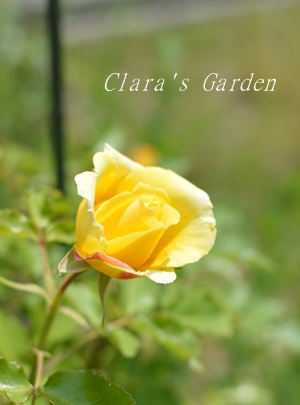 DSC_0022.JPG