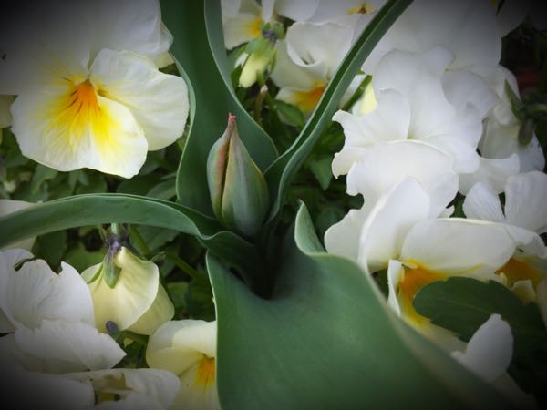 rblog-20160331165718-04.jpg
