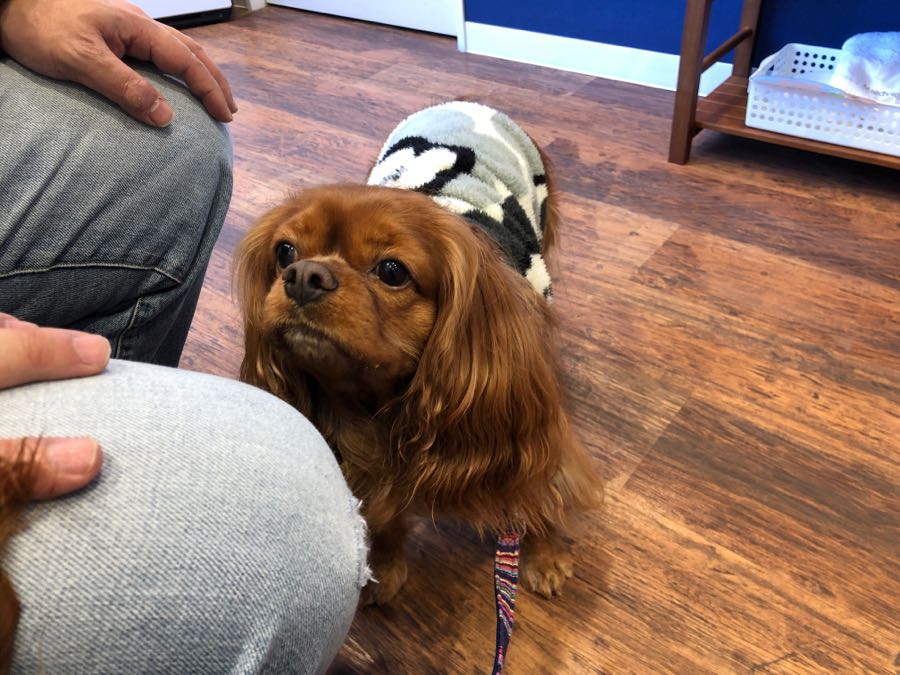 rblog-20190104100624-03.jpg