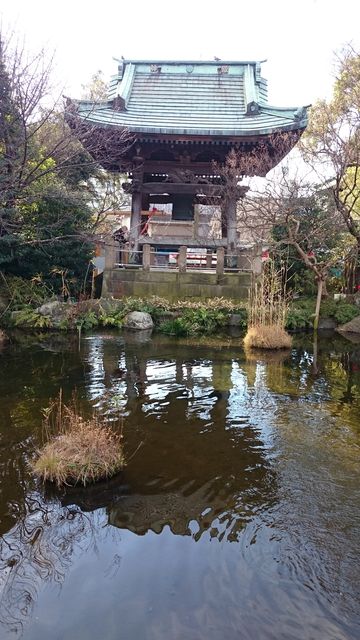 2016-01-02 10.14.26.jpg