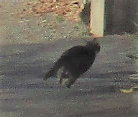 IMG_5815ss.jpg