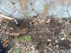 P1020761.JPG