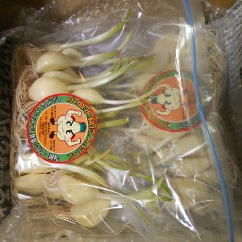 rblog-20181230053436-00.jpg