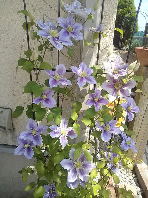 rblog-20140326190326-01.jpg