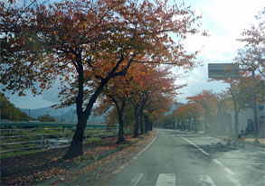 馬見ヶ崎川.jpg