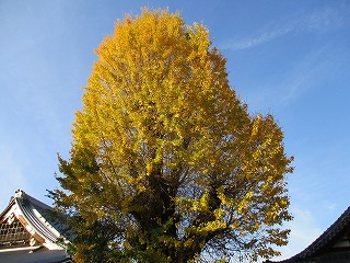 IMG_3123ss.jpg