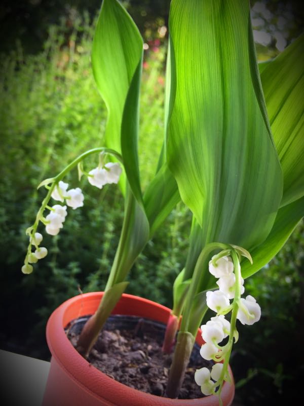 rblog-20160515203858-02.jpg