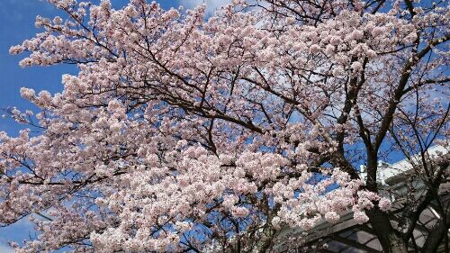 rblog-20160402211507-02.jpg
