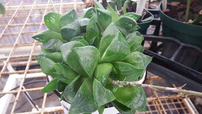 DSCF9858.JPG