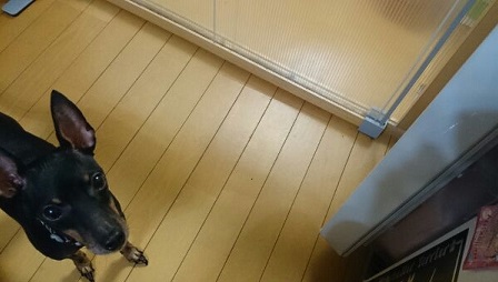 1411577597327.jpg