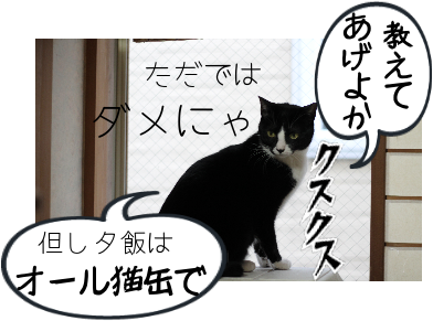 IMG_0486.png