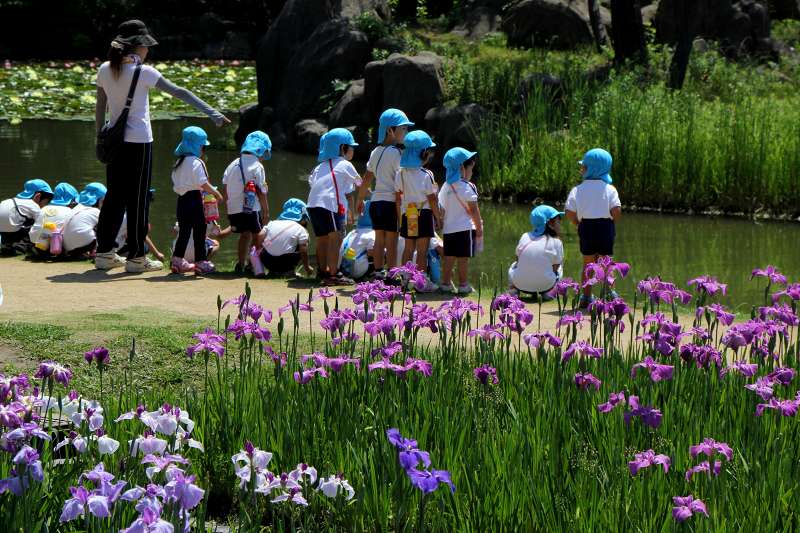 長居植物園_6-2.jpg