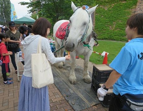 ばん馬とふれあい サッポロビール 道産子感謝day レポート 十勝 北海道庁のブログ 超 旬ほっかいどう 楽天ブログ