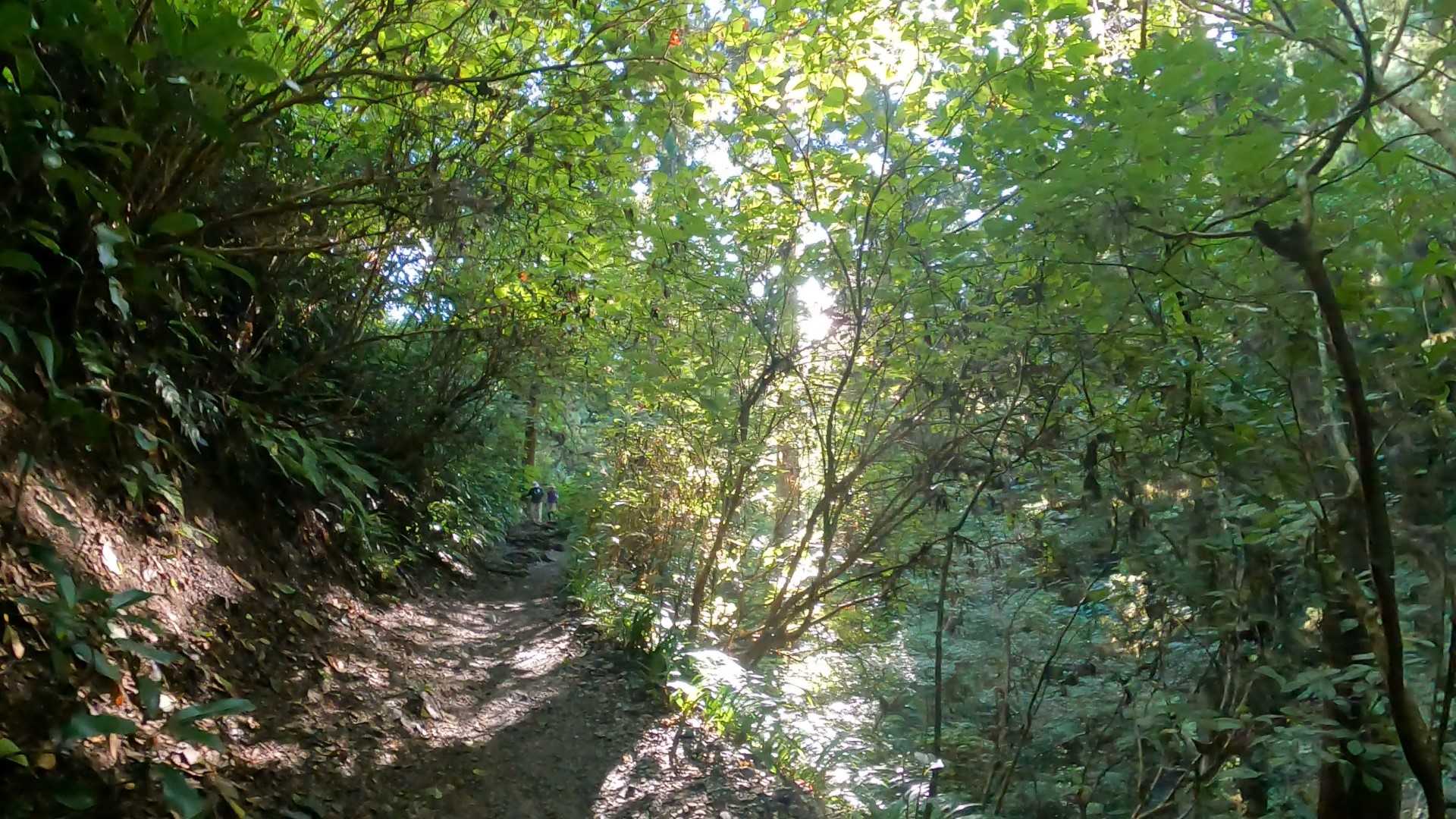 海と山の湘南暮らし 番外編 高尾山登山2023秋 | 海と山の湘南暮らし - 楽天ブログ