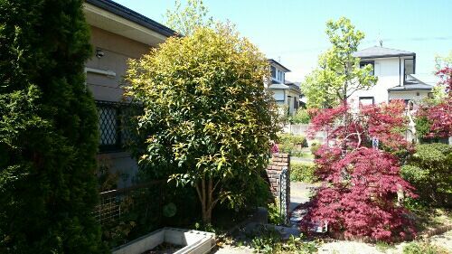 rblog-20170504191927-02.jpg