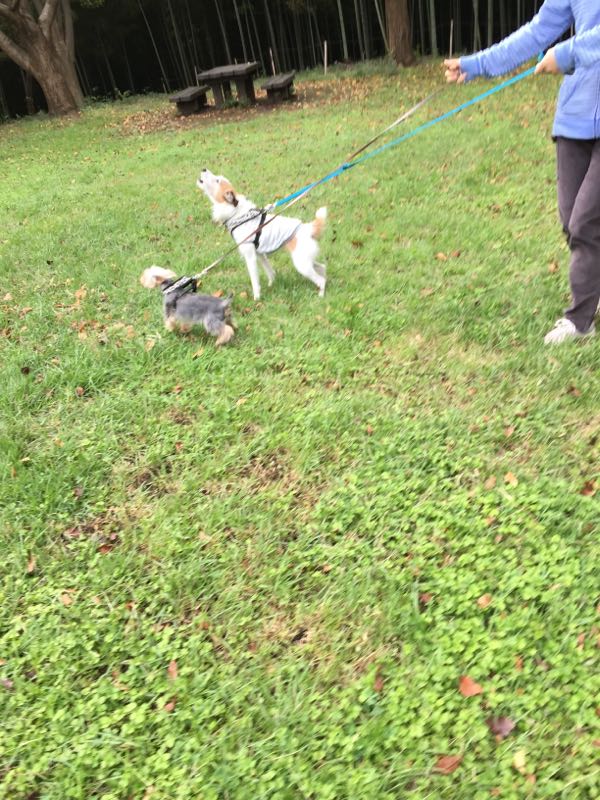 rblog-20161015010311-01.jpg