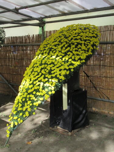 東京都観光菊花大会