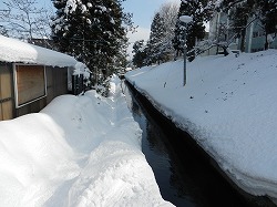 DSCN9919.jpg