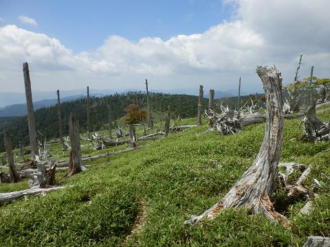 正木峠からの景色.JPG