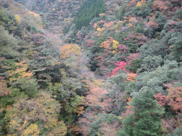 IMG_9857.JPG