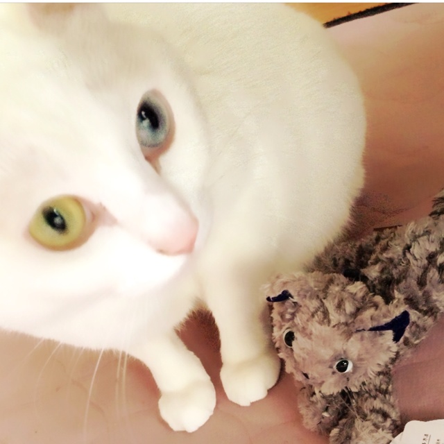 rblog-20130328122841-01.jpg