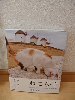 P1060684ss.jpg
