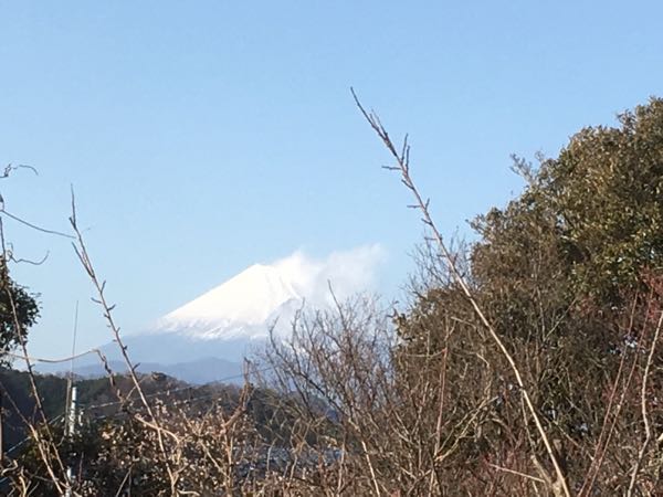 rblog-20170131082417-02.jpg