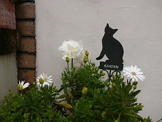 P1280265ss.jpg