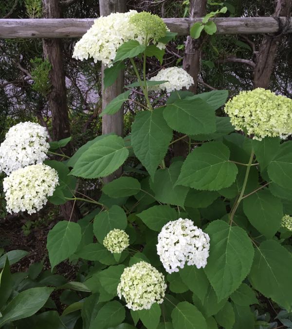 rblog-20160609235227-04.jpg