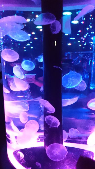 2015-08-23 10.06.48.jpg