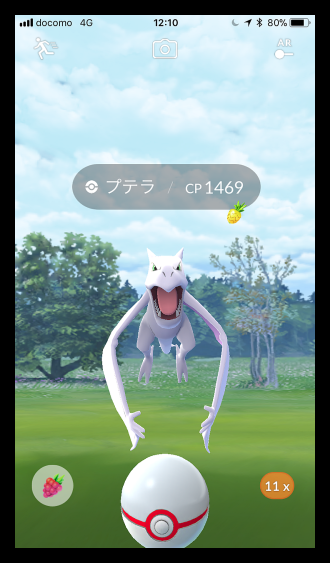 レックウザレイド Pokemon Go Memories 楽天ブログ