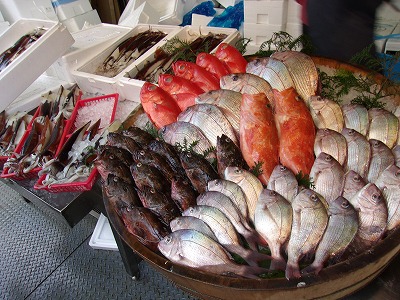 桶の魚.jpg