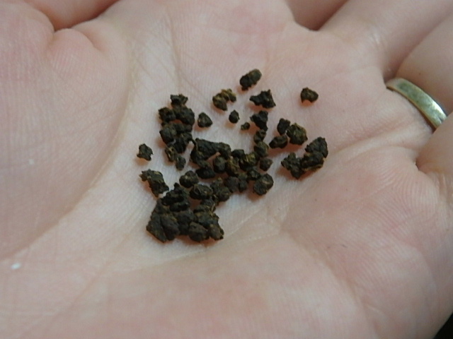 チャイ茶葉.JPG