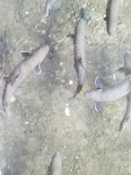 rblog-20180713235554-00.jpg