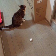 ３月１２日分 077.jpg