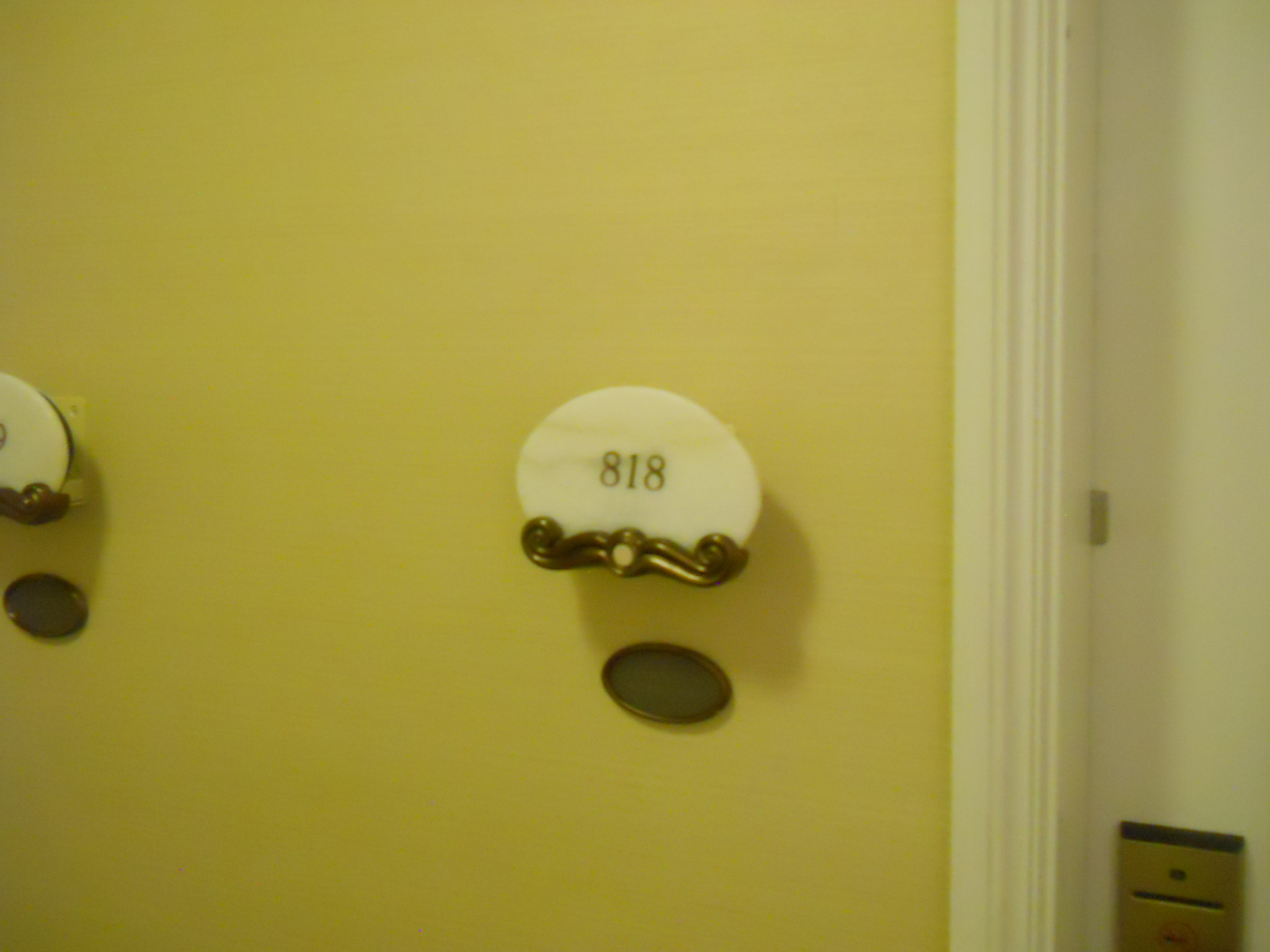 DSCN1529.JPG