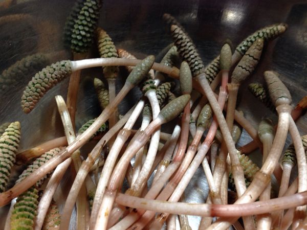 rblog-20140407001442-03.jpg